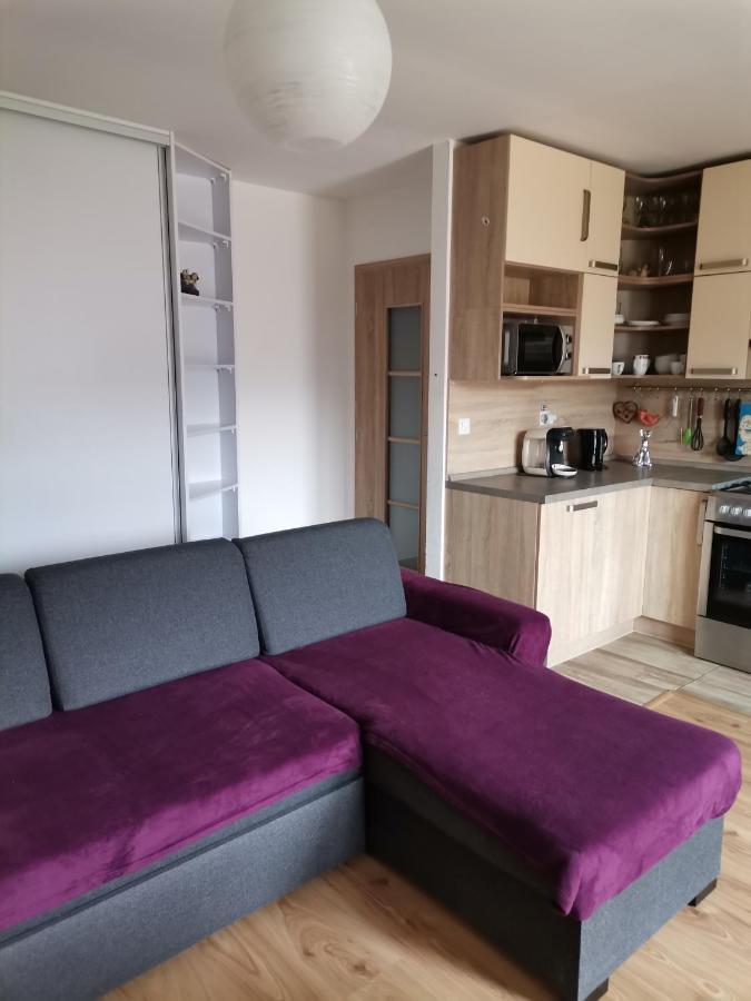 Apartman Family S Vyhladom Na Choc Lúčky Extérieur photo