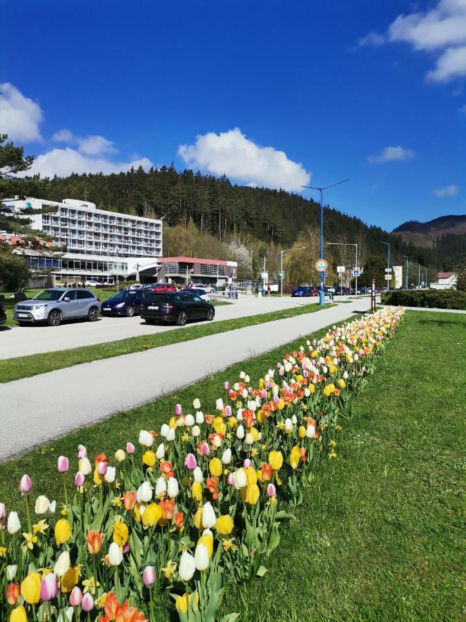 Apartman Family S Vyhladom Na Choc Lúčky Extérieur photo